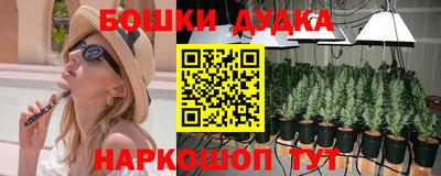 прущие крисы Пушкино
