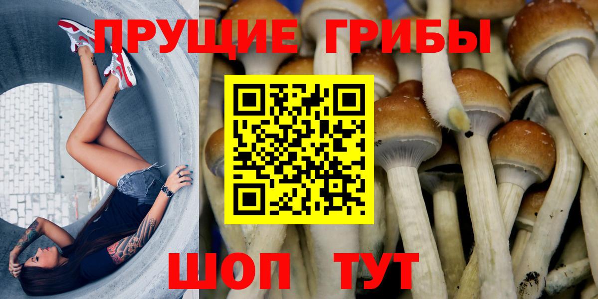Галлюциногенные грибы прущие грибы Саранск