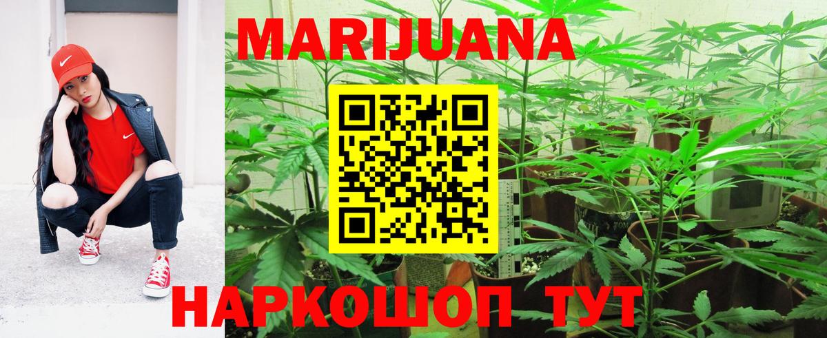 Марихуана план  Вход с VPN  Конопля MAZAR  Саранск  Канабис White Widow 